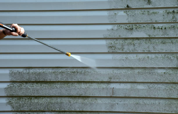 Best Driveway Pressure Washing  in North Miami, FL